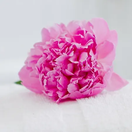 Zum Goldenen Loewen Hotel 3*