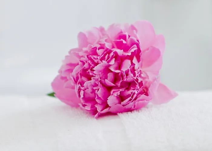 Zum Goldenen Loewen Hotel 3*